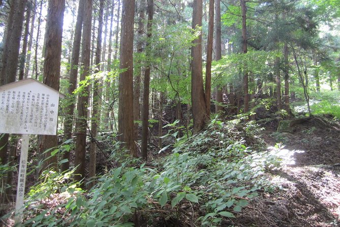 Old Nakasendo Trekking From Karuizawa-Beyond Sugahi Pass to Sakamoto Hotel- - Additional Trek Information