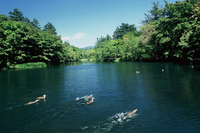 ~Exploring the Nature and Sightseeing Spots of Karuizawa~ Forest Bathing Cycling - Cycling Adventures Amidst Scenic Beauty