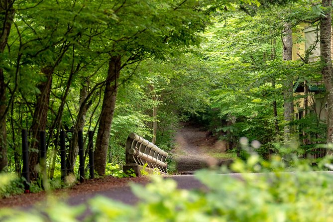 ~Exploring the Nature and Sightseeing Spots of Karuizawa~ Forest Bathing Cycling - Unveiling Karuizawas Tranquil Landscapes