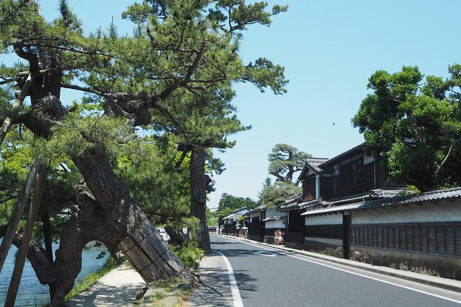 An E-Bike Cycling Tour of Matsue That Will Add to Your Enjoyment of the City - Reviews and Additional Information