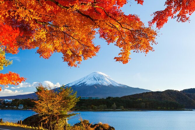 Airport Transfer Between Narita and Mount Fuji or Hakone Onsen - Key Takeaways