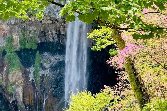 Full-Day Private Nikko Tour in Tokyo With English Speaking Driver - Additional Information for Travelers