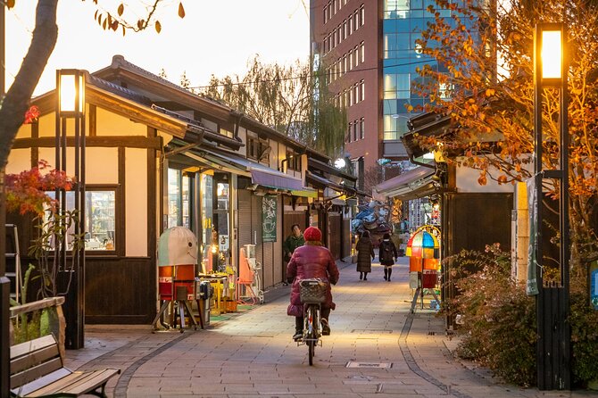 Full-Day Private Nikko Tour in Tokyo With English Speaking Driver - Reviews and Testimonials