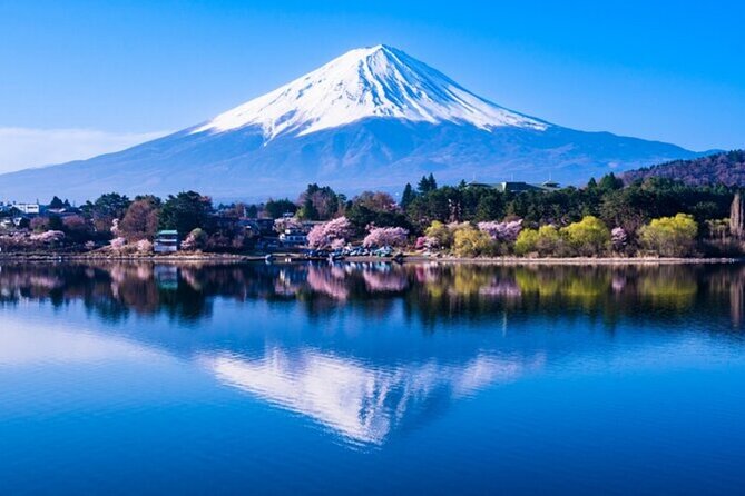 Mt. Fuji Private Tour From Tokyo With English Guide - Operating Hours