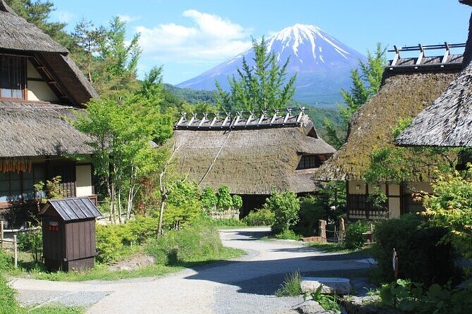 Mt. Fuji Private Tour From Tokyo With English Guide - Cancellation Policy