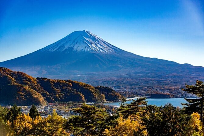 Mt. Fuji Private Tour From Tokyo With English Guide - Additional Information