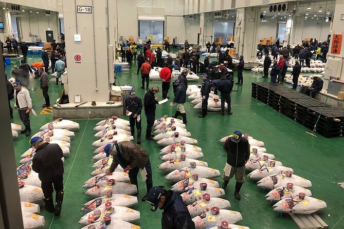 Toyosu Tuna Auction and Tsukiji Market by Gov Licensed Guide - Key Takeaways