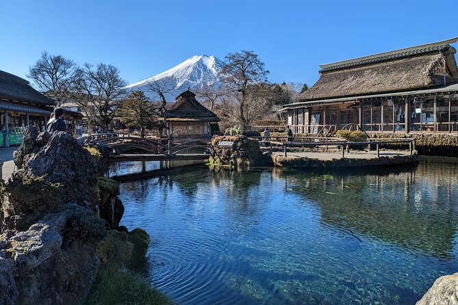 Private Day Tour From Tokyo: Customized Mount Fuji Highlights - Reviews