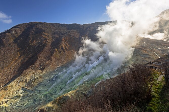 Guided Private Day Tour: Lake Ashi Cruise & Hakone Highlights - Additional Information