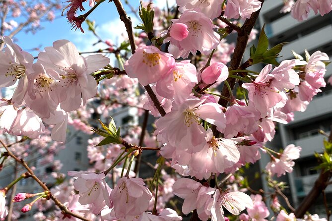 Hidden Gem Food & Whiskey Night Tour Near Roppongi - Tour Inclusions