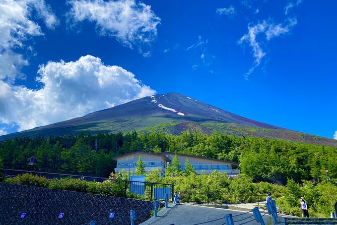 Private Tour to Mt Fuji, Lake Kawaguchi With Limousine and Driver - Tour Inclusions