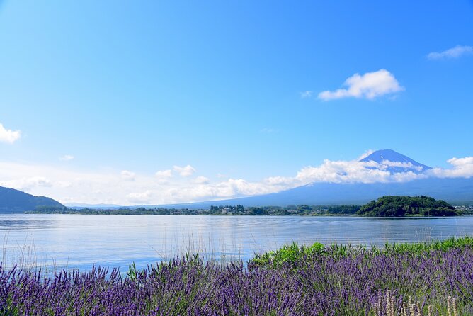 Private Tour to Mt Fuji, Lake Kawaguchi With Limousine and Driver - Additional Information