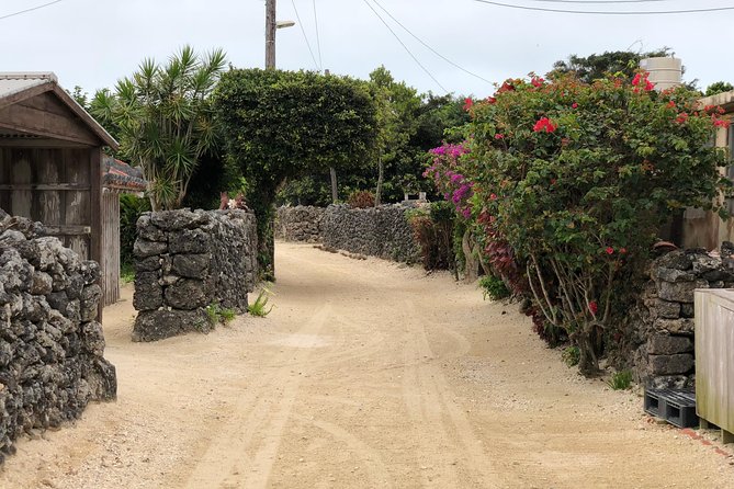 Taketomi Island Walk Tour With an Island Guide - Tour Highlights