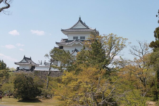 Full-Day Ninja Unique Experience in Iga - Enjoy Traditional Ninja Activities