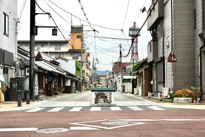 Full-Day Goldfish Unique Experience in Yamato-Koriyama, Nara - Pickup and Start Time