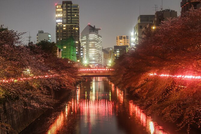 Full Day Kyoto and Nara Guided Tour - Conclusion