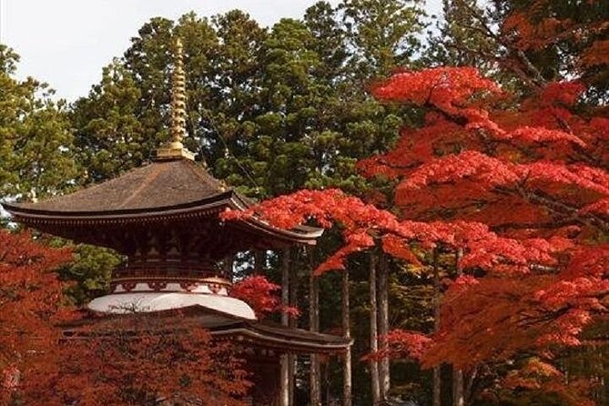 Mt Koya 1 Day Walking Tour From Osaka - Pricing and Booking Information