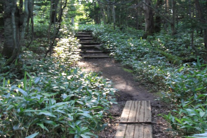 3hours Nature Guided Tour in Shiretoko Five Lakes - Key Takeaways