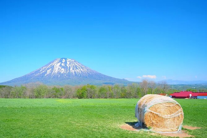 1 Hour Private Photoshoot in Niseko - Conclusion