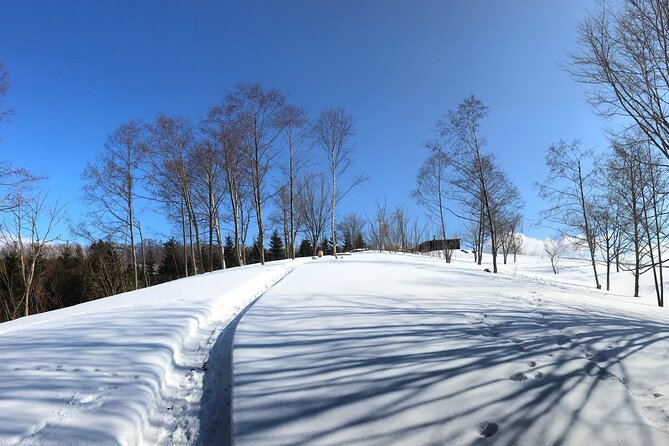 Hokkaido Nature and Gourmet Experience Near Lake Toya - Frequently Asked Questions