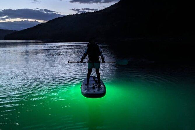 Sunset and Light up Stand-Up Paddle With a Certified Guide - Key Takeaways