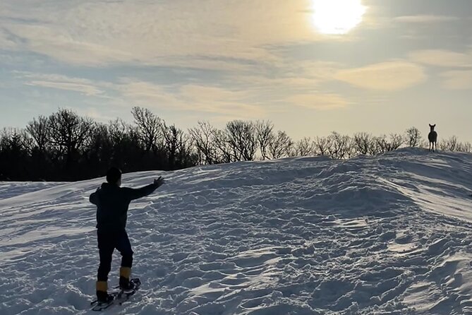 Private Snow Shoe Tour in Shiretoko National Park - Booking Information