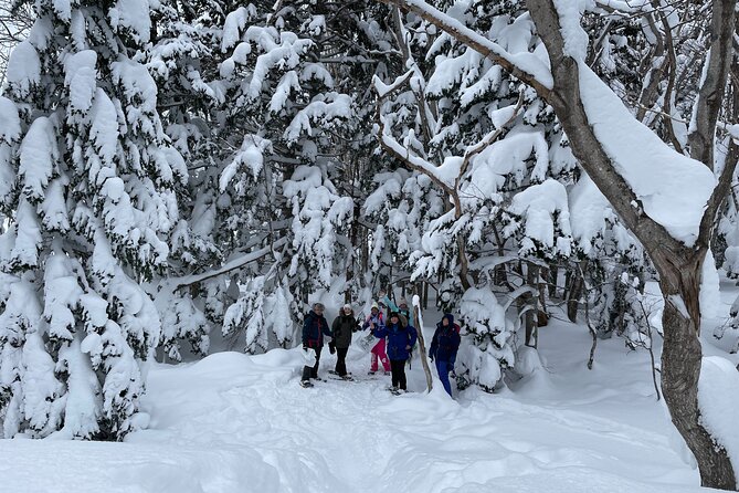 Private Snow Shoe Tour in Shiretoko National Park - Weather and Refund Policy