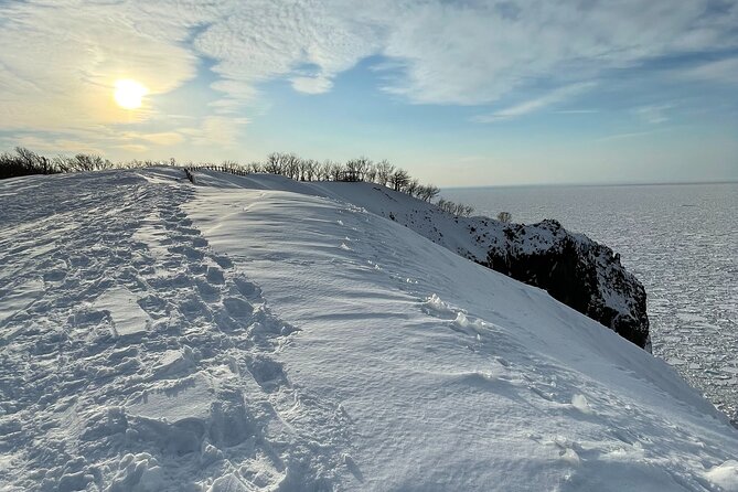 Private Snow Shoe Tour in Shiretoko National Park - Reviews