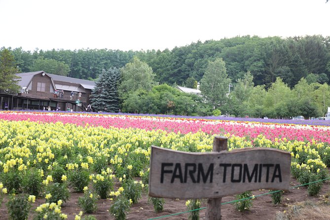 Asahiyama Zoo, Aoiike, Farm Tomita, Ningle Terrace (from Sapporo) - Directions and Itinerary