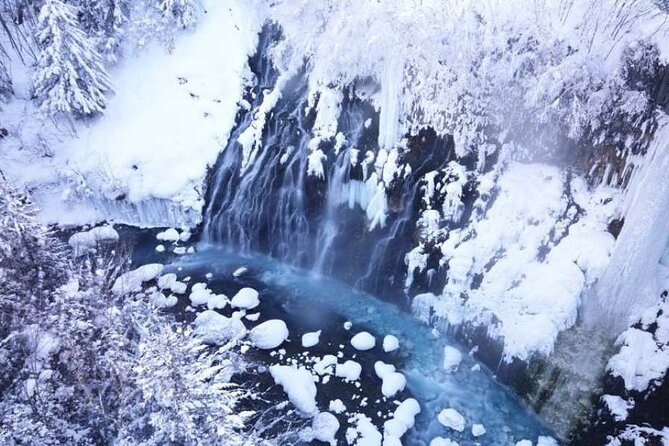 Day Tour to Asahiyama Zoo, Blue Pond & Shirahige Falls With Lunch - Inclusions and Exclusions