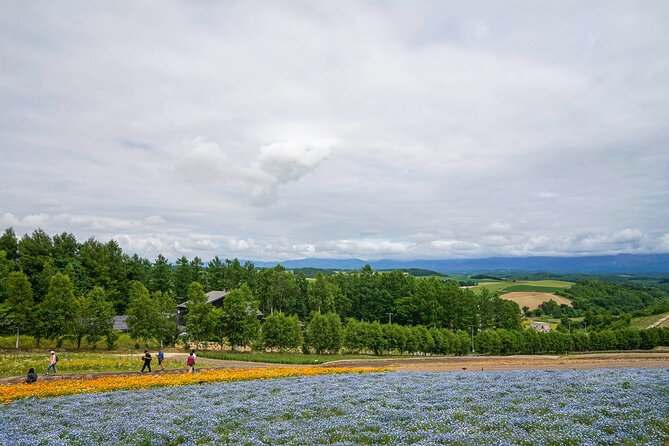 Full Day Tour Hokkaido Biei Green Pond and Furano Flower Sea - Key Takeaways