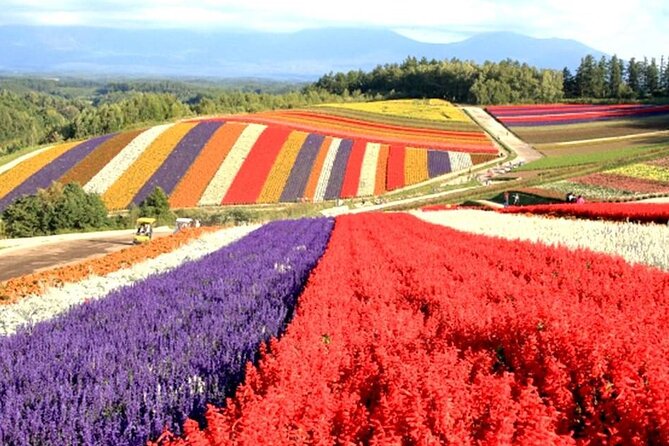 Full Day Tour Hokkaido Biei Green Pond and Furano Flower Sea - Meeting and Pickup Details