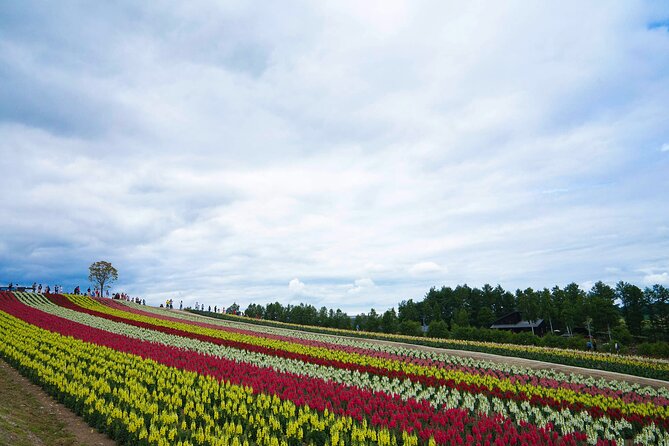 Full Day Tour Hokkaido Biei Green Pond and Furano Flower Sea - Frequently Asked Questions