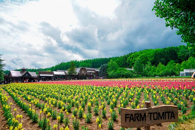 Full Day Tour Hokkaido Biei Green Pond and Furano Flower Sea - Booking and Cancellation Policy