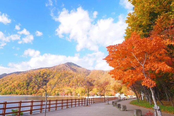 Hokkaido Day Tour From Sapporo: With Bear Park Option - Operational Considerations