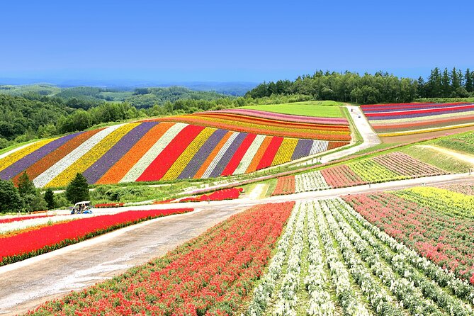 All-you-can-eat Yubari Melons & Hokkaido Lavender Tour - Conclusion