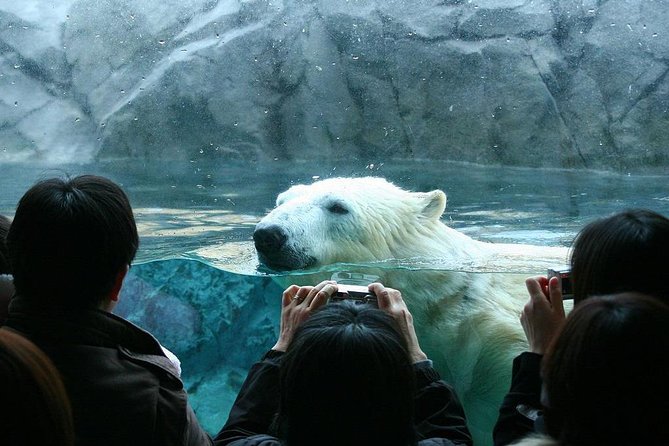 Hokkaido Asahiyama Zoo,Furano and Biei English/Chinese Bus Tour - Accessibility and Transportation Details