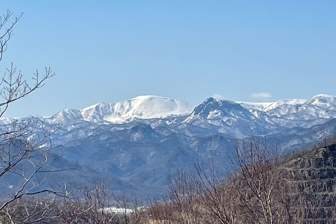 Snowshoeing Adventures in a Winter Wonderland - Sapporo - Key Takeaways