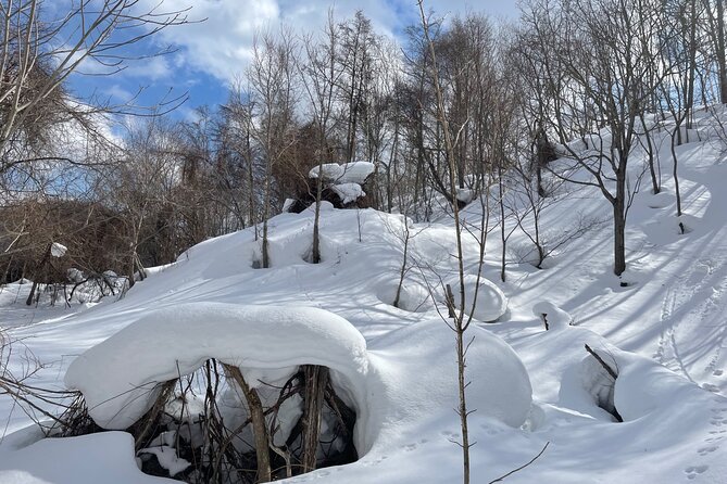 Snowshoeing Adventures in a Winter Wonderland - Sapporo - Booking Information