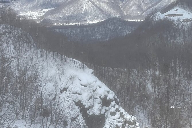 Snowshoeing Adventures in a Winter Wonderland - Sapporo - Meeting Point