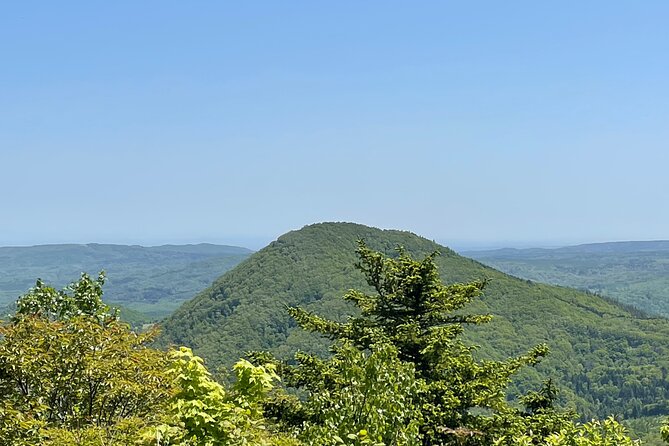 Full Day Green Season Hiking in Hokkaido - Accessibility and Health Recommendations