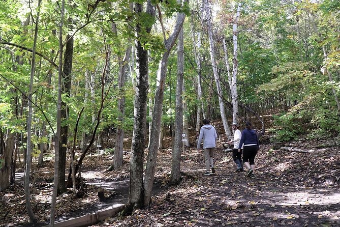 Private Visit Local Bike Park & Mountain Biking in Sapporo - Meeting and Pickup