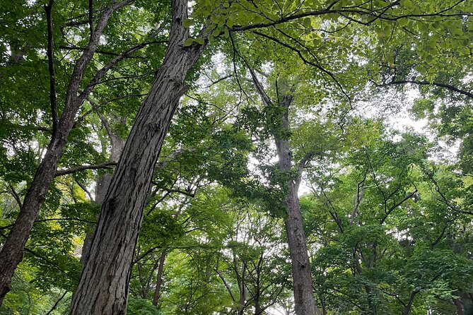 Private Temple Tour With Zazen Meditation - Tour Inclusions