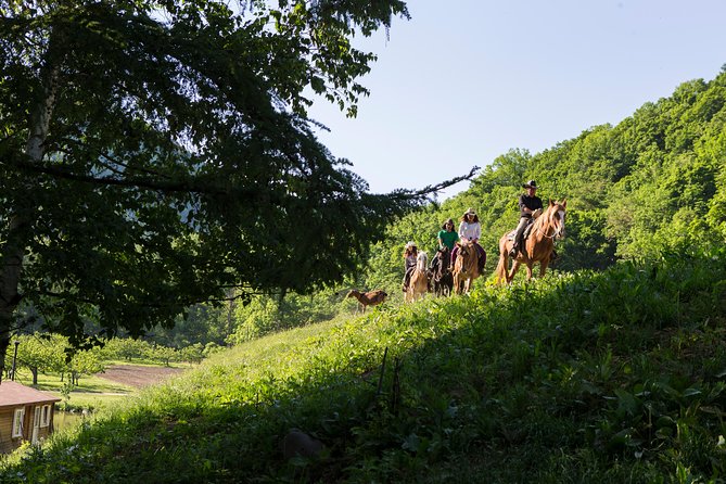 Horseback-Riding in a Country Side in Sapporo - Private Transfer Is Included - Tour Itinerary