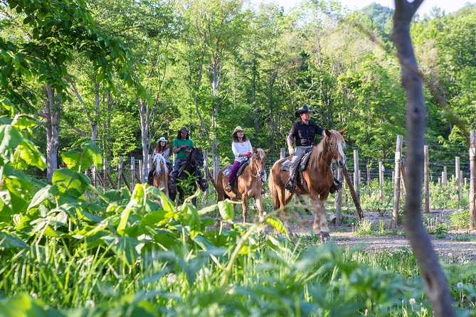 Horseback-Riding in a Country Side in Sapporo - Private Transfer Is Included - Tour Highlights