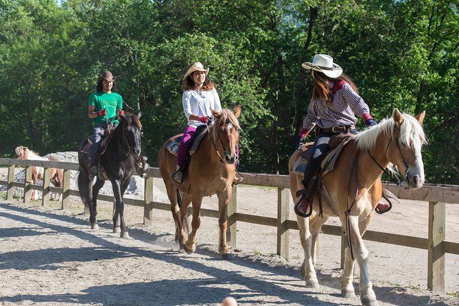 Horseback-Riding in a Country Side in Sapporo - Private Transfer Is Included - Cancellation Policy