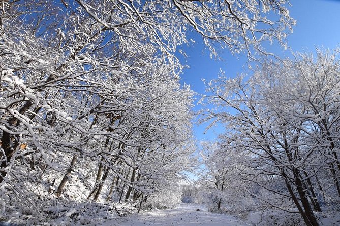 Snowshoe Hike Tour From Sapporo - Meeting and Pickup Details