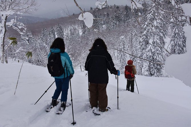 Snowshoe Hike Tour From Sapporo - Reviews and Ratings