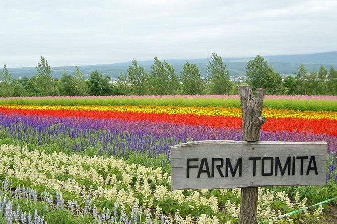 A Relaxing Day for Furano, Biei Blue Pond& Local Curry Lunch in Hokkaido! - Reviews