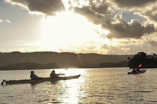 Kayak Mangroves or Coral Reef: Private Tour in North Okinawa - Last Words